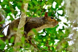 DSC_0076 - Version 2