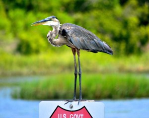 DSC_0075 - Version 2