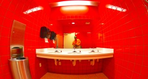 15300812900_607b0e06f2_o