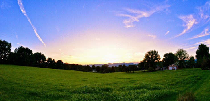 15484420921_24f7d11b9e_o