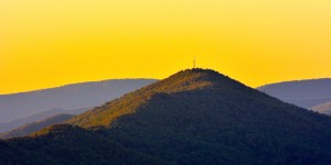 15484542841_4a1fb3fb39_o