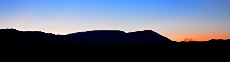 16682387478_a6c1db7fdd_o