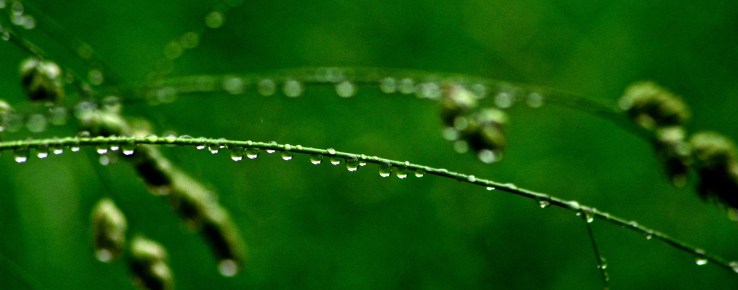 20077253803_c1d2d60a94_o