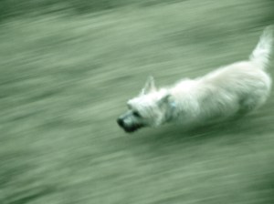 1589752069_ddc5d7bcb2_o