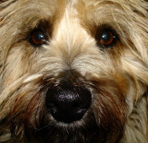 1589752073_1ce7355d3c_o