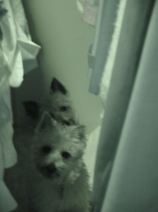 1616483015_1b4e7b7ce8_o