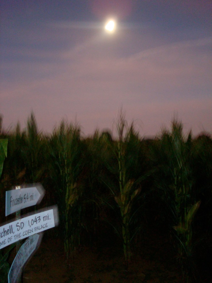 2008.10.11.DSC09681 Corn Maze