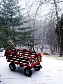 2459351404_16aa5d2206_o copy