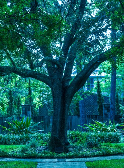 2015.04.21.6480 Convent