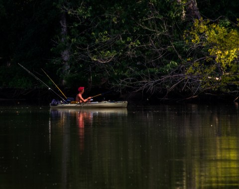 2015.08.02.0499 Fishing on James