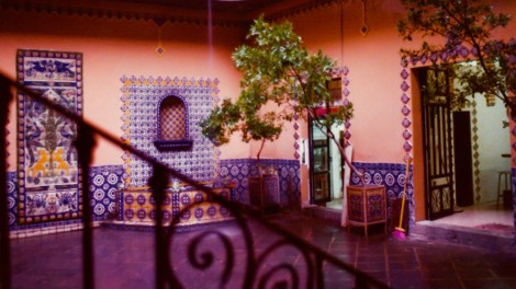 3911832324_296be72780_o copy