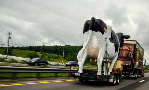 9121528115_ae2134fa66_o copy