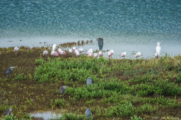 31731174925_b76d751757_o