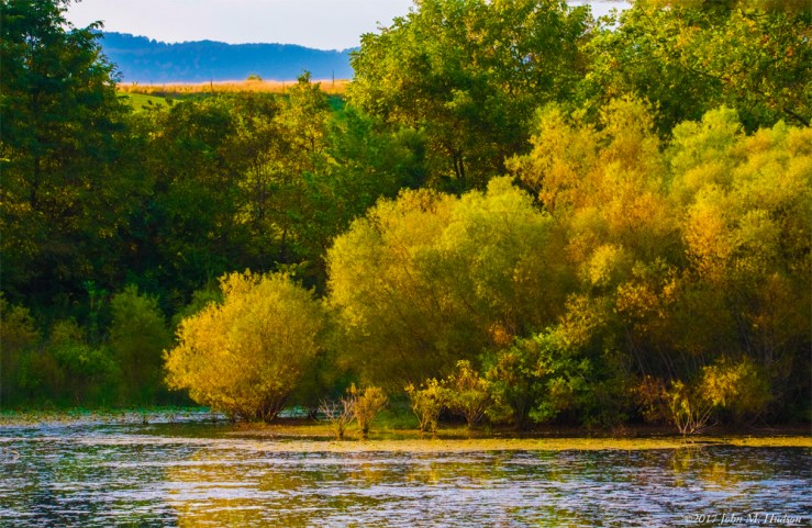 DSC_8177 Picture of the Day copy