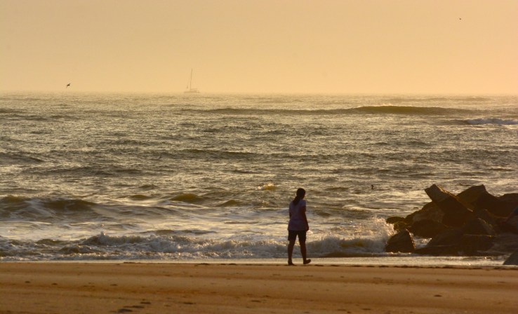 18167872842_38acd5c612_o