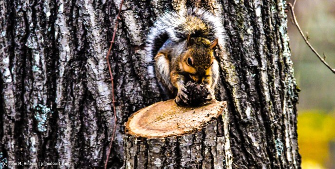 24470775278_9dd7529557_k