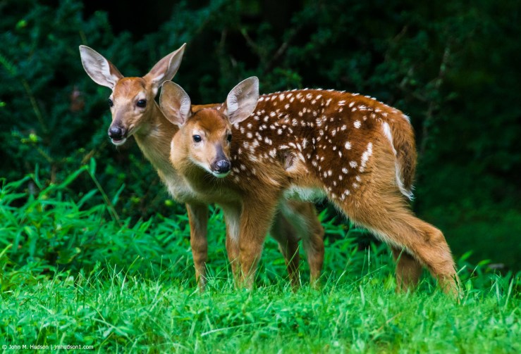 29894813688_2fb2bf7db5_k