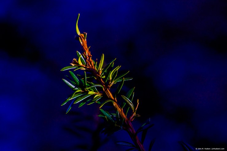 40025963483_d74f59310d_k