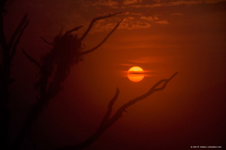 44034518192_fb45d50366_k