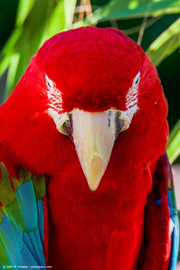 45018615094_bf68f73cb8_k