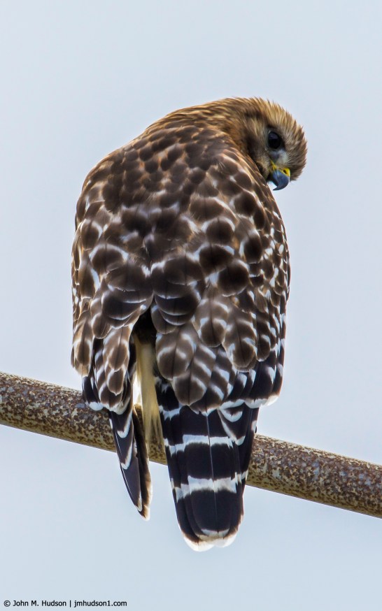 45839958905_f6e13ec44b_k