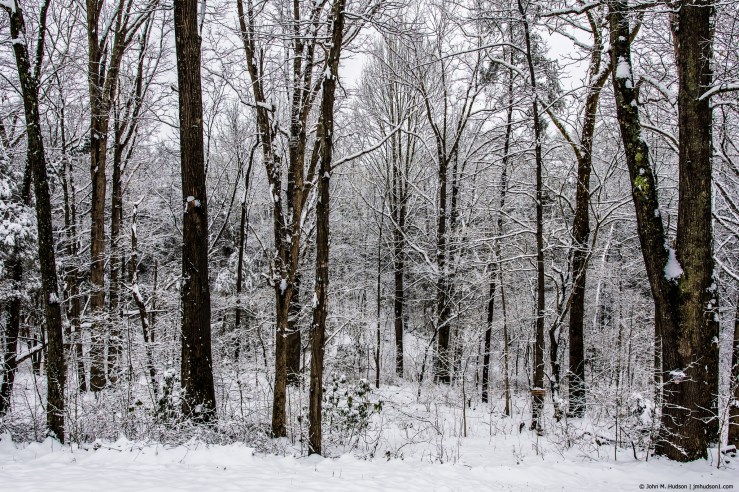 46244007915_04c20233bb_k