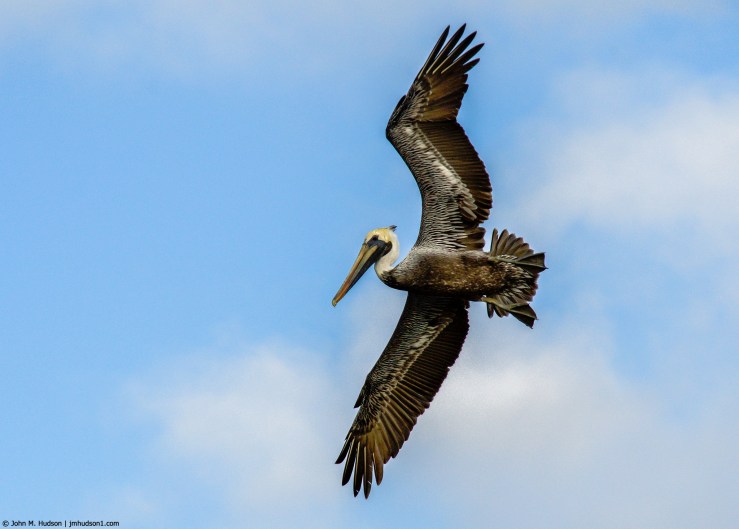 46826893842_33084f3427_k