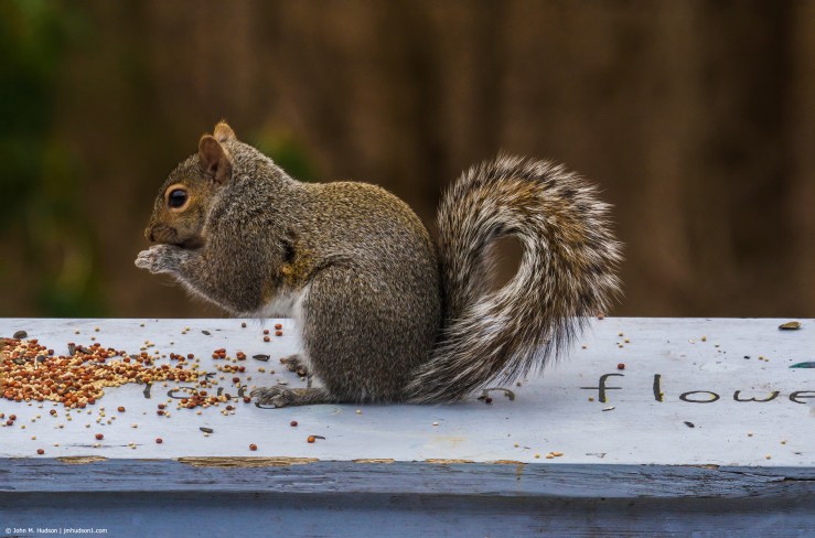 47099816611_db3c28a172_k