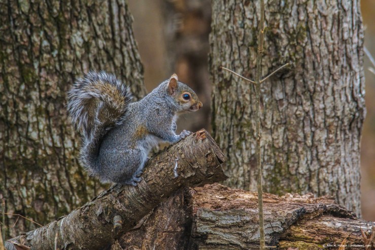 47106723711_5b79d53b51_k