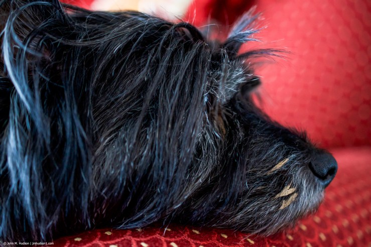 47158312311_9651b0b24b_k