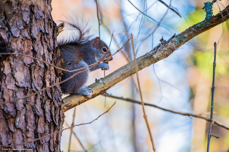 47232265731_287458225b_k