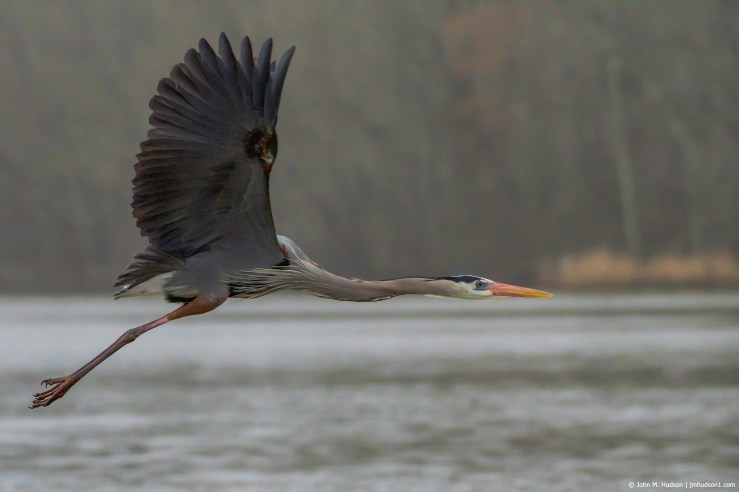 2019.04.06.7567 GBH Flying POD
