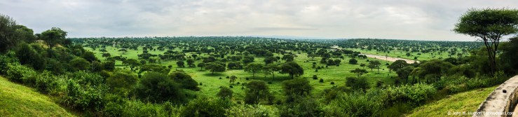 2019.06.03.3975 Tarangire Morning POD