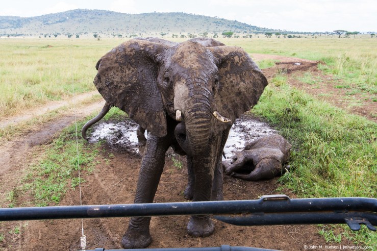 2019.06.06.2559 Mud Wallow POD