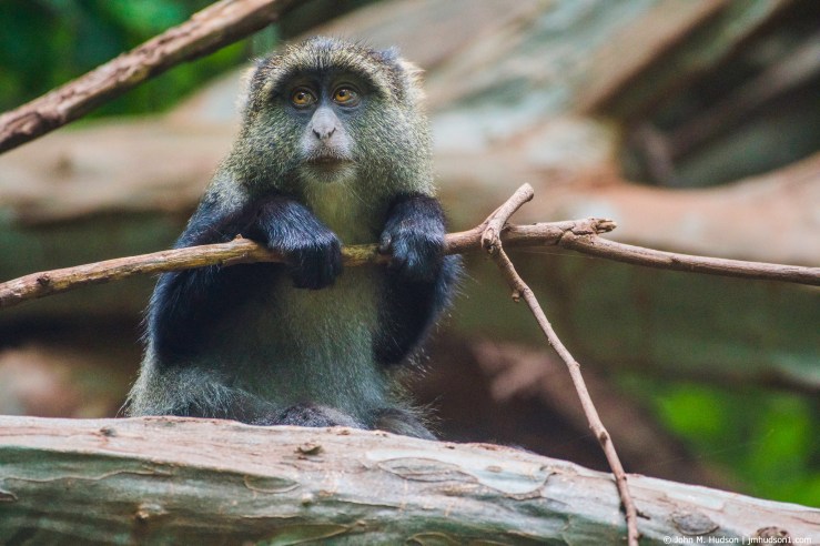 48199834076_6b2b5a4152_k